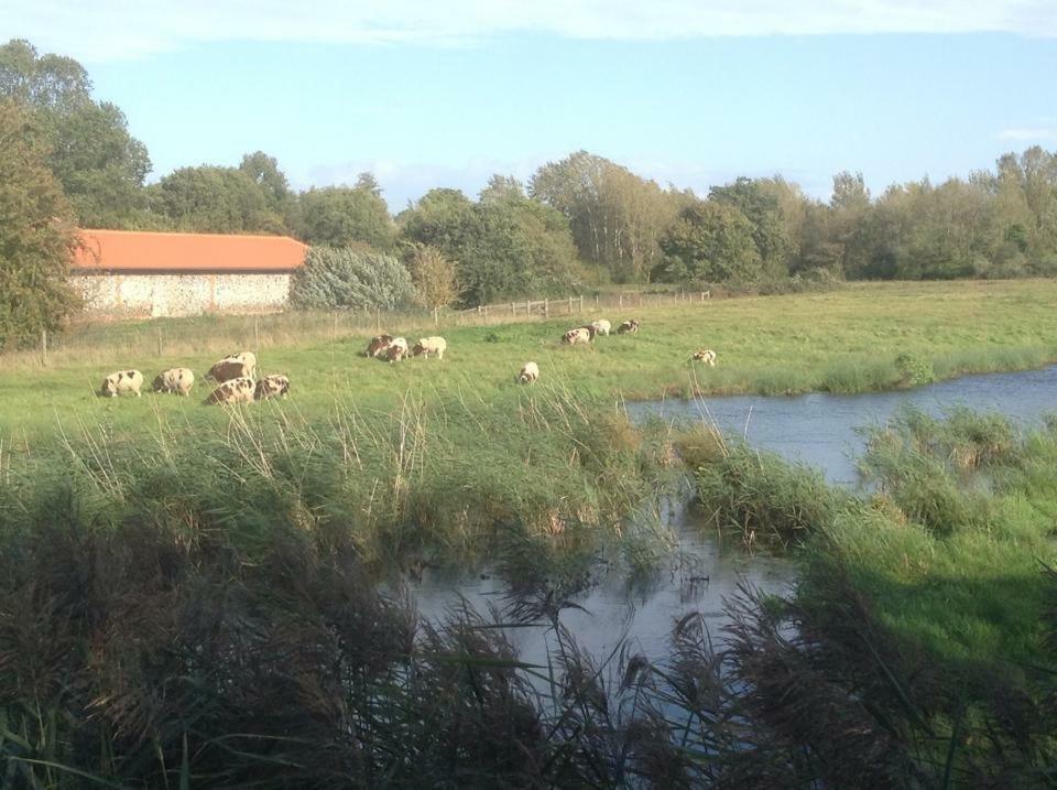 Lackford Lakes Barns Flempton Kültér fotó